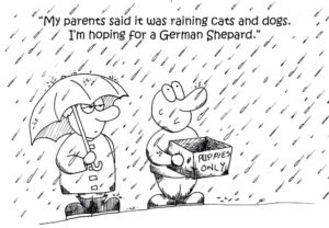 Two kids stand out in the pouring rain. One holds an umbrella, while the other, uncovered, holds out an open box marked "Puppies Only." The uncovered kid says, "My parents said it was raining cats and dogs. I'm hoping for a German Shepard."